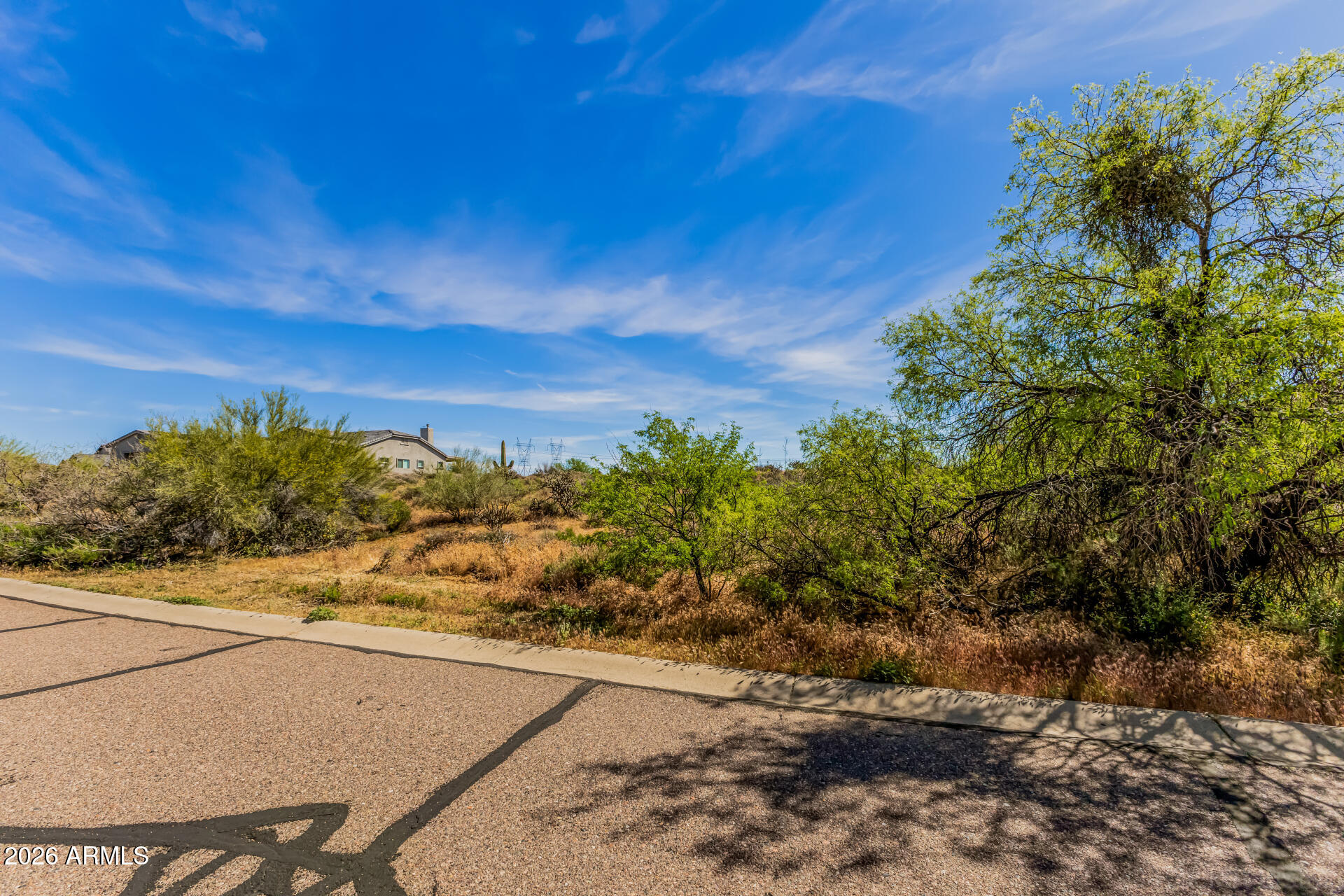 36576 N BOULDER VIEW Drive 46