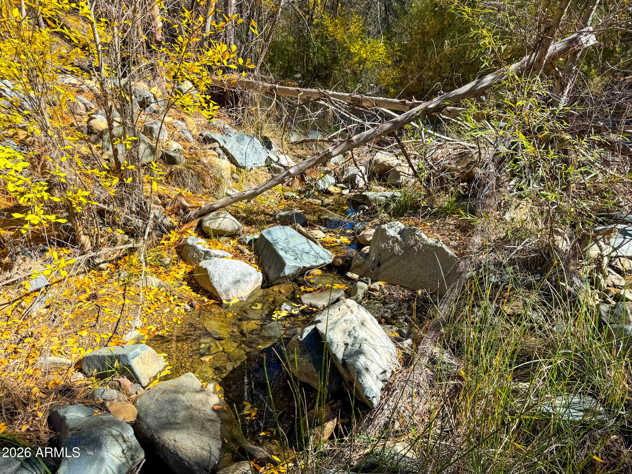 0 Forest Service Road -