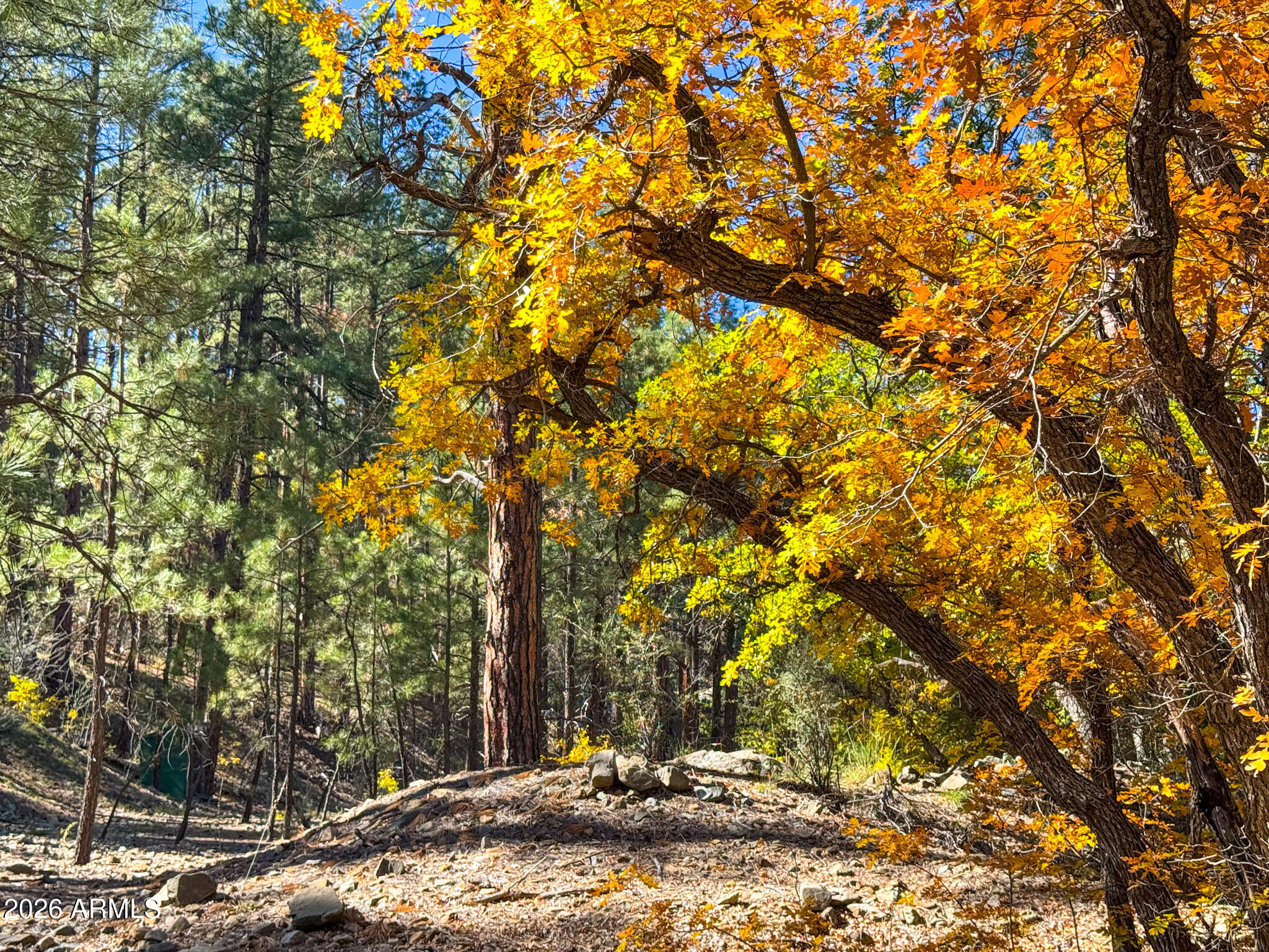 0 Forest Service Road -