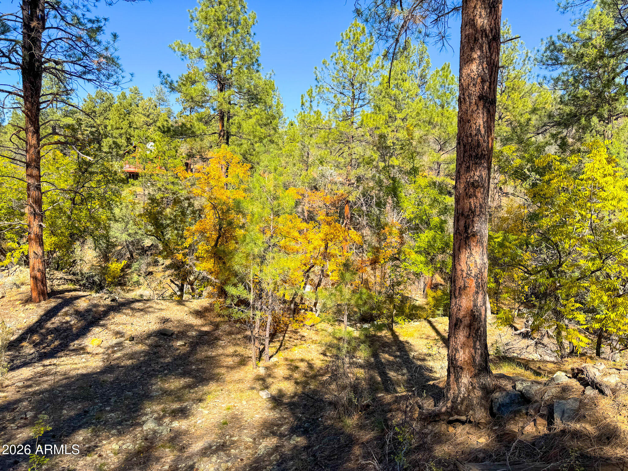 0 Forest Service Road -