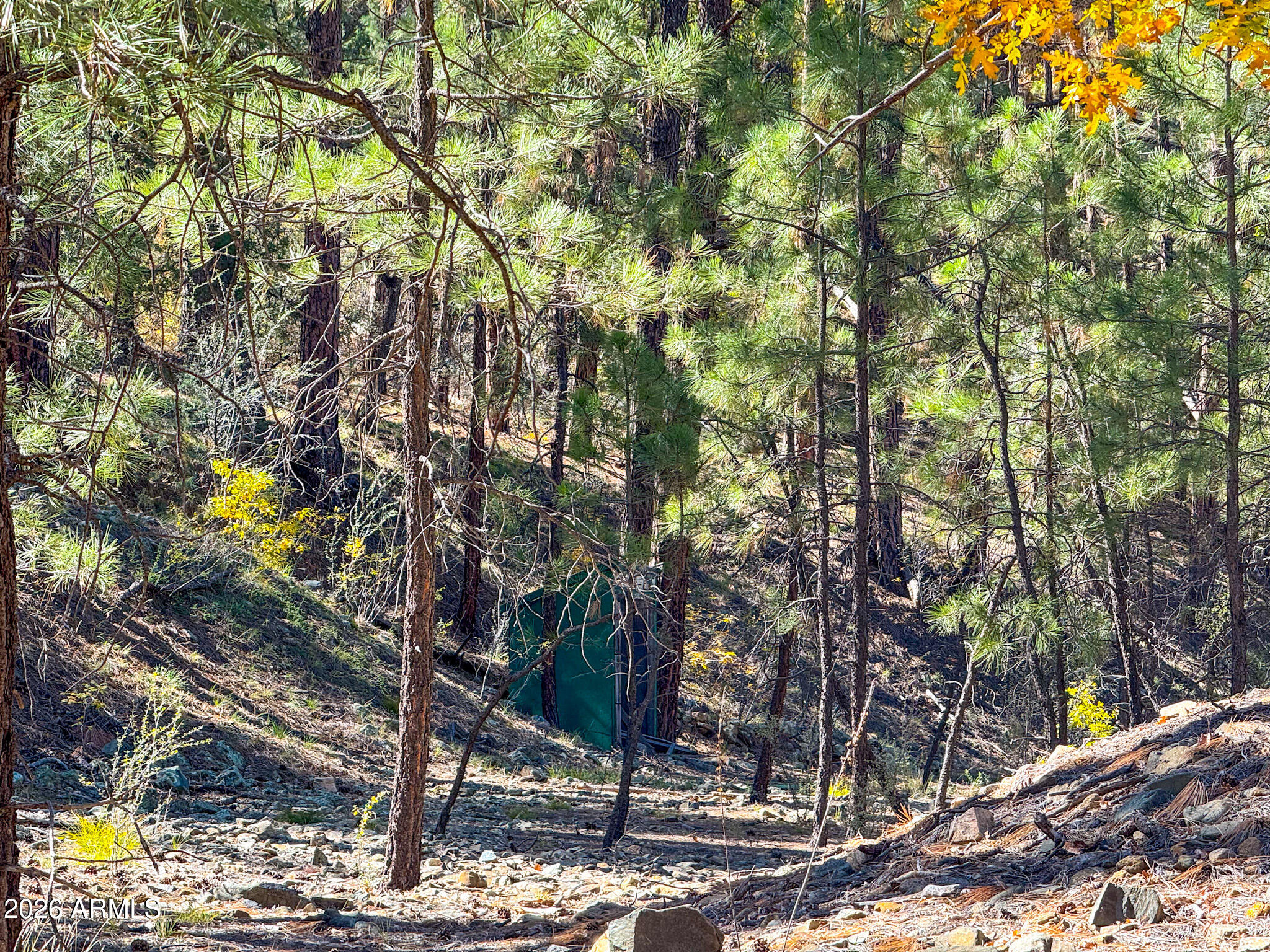 0 Forest Service Road -