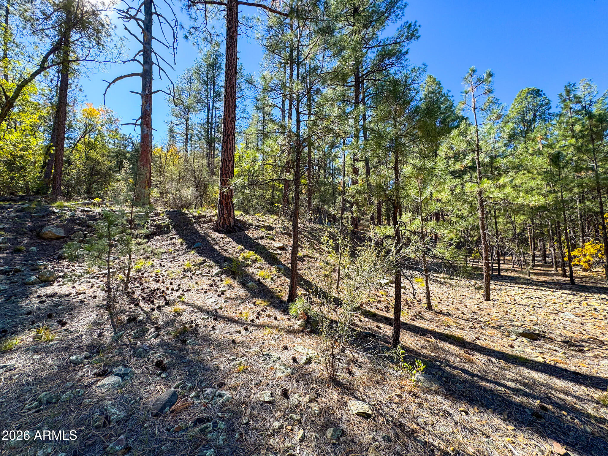 0 Forest Service Road -