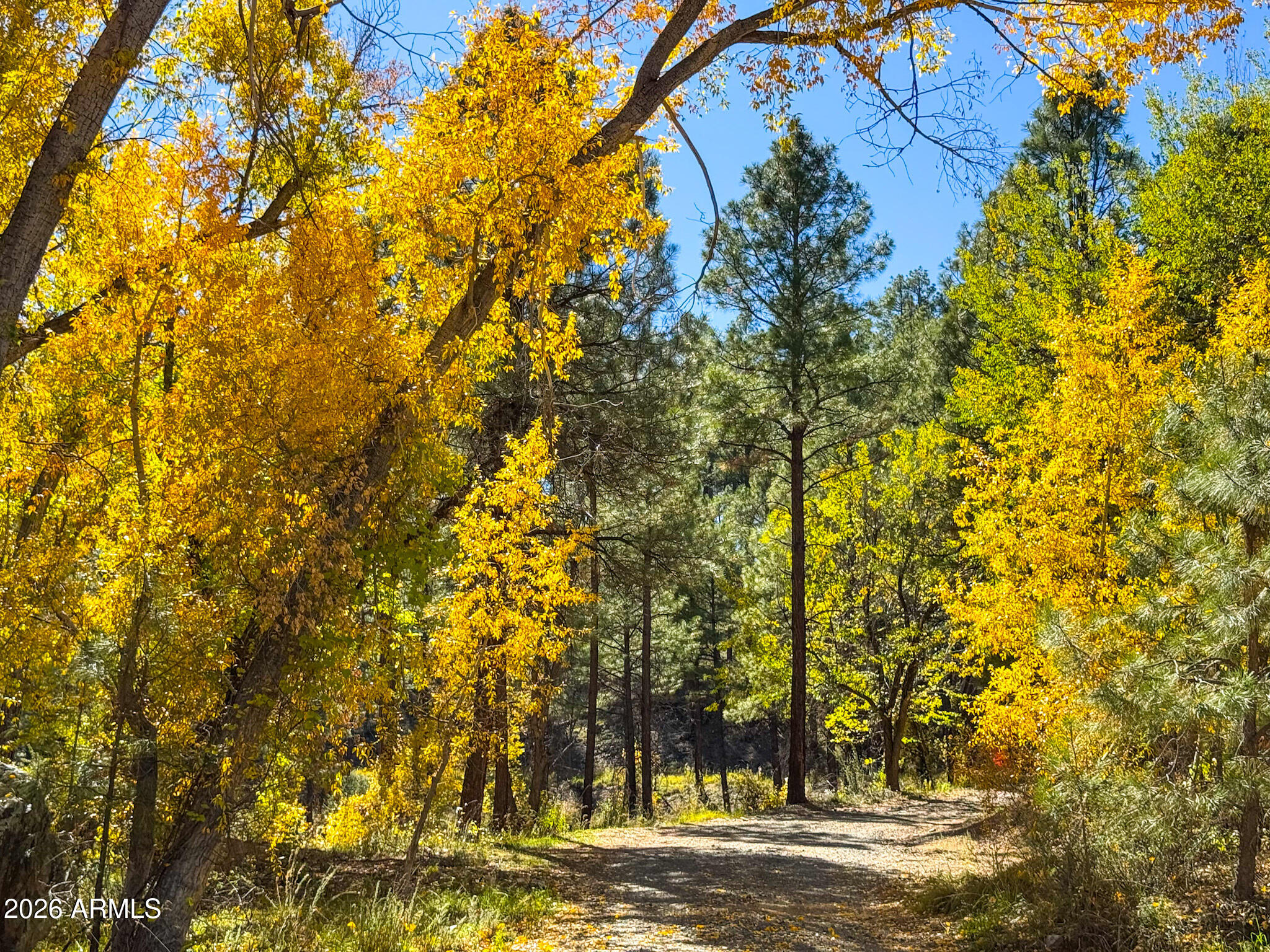 0 Forest Service Road -