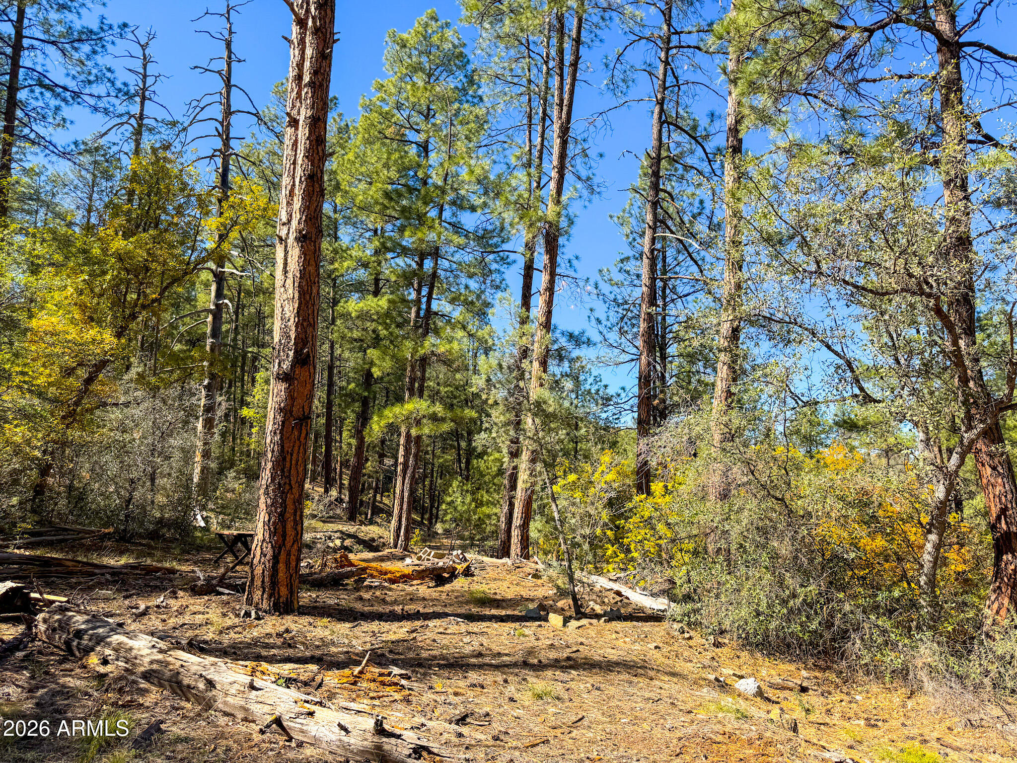 0 Forest Service Road -