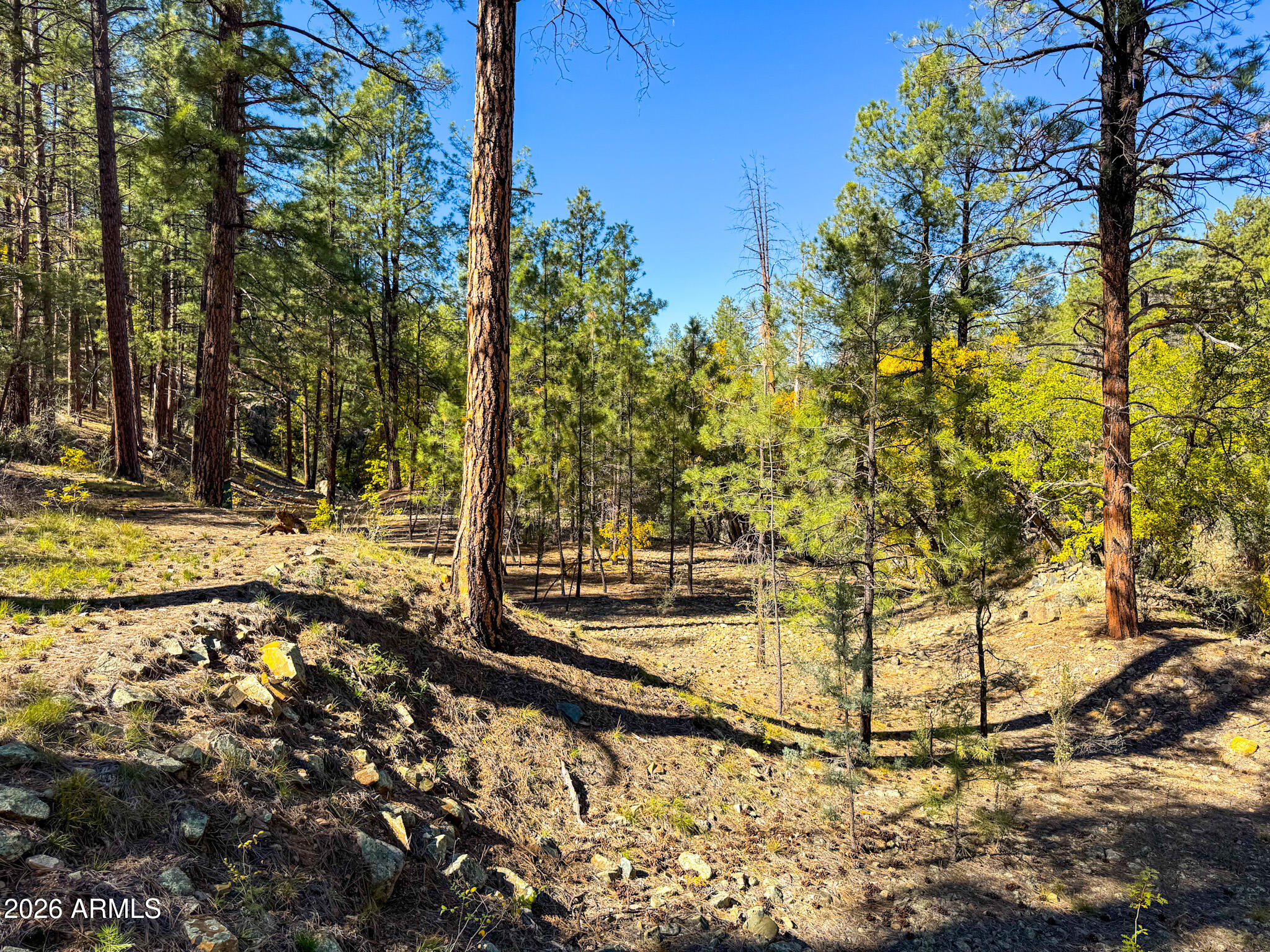0 Forest Service Road -