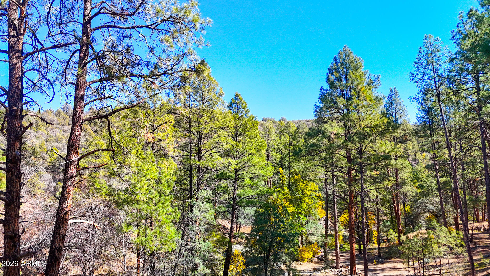 0 Forest Service Road -