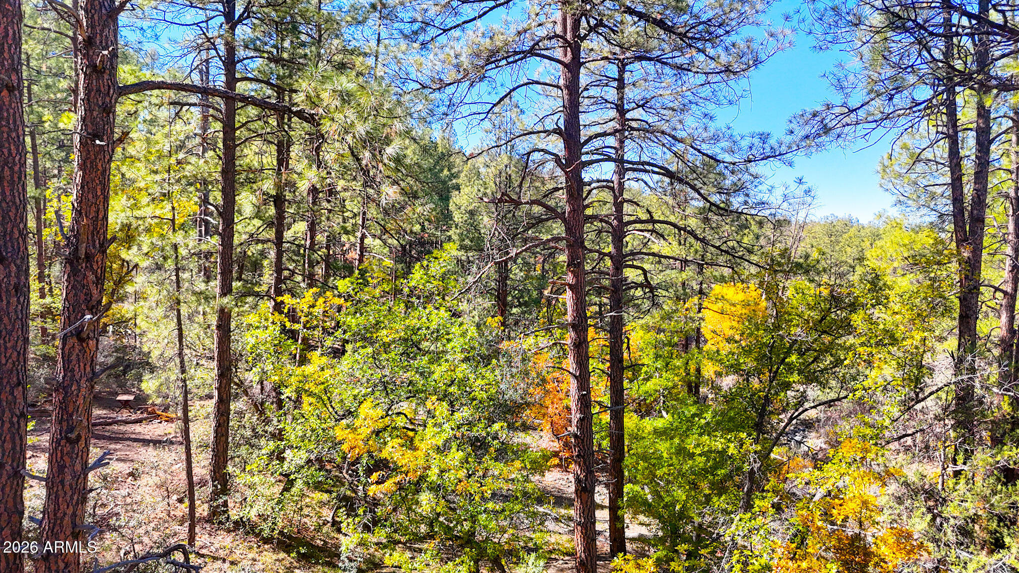 0 Forest Service Road -