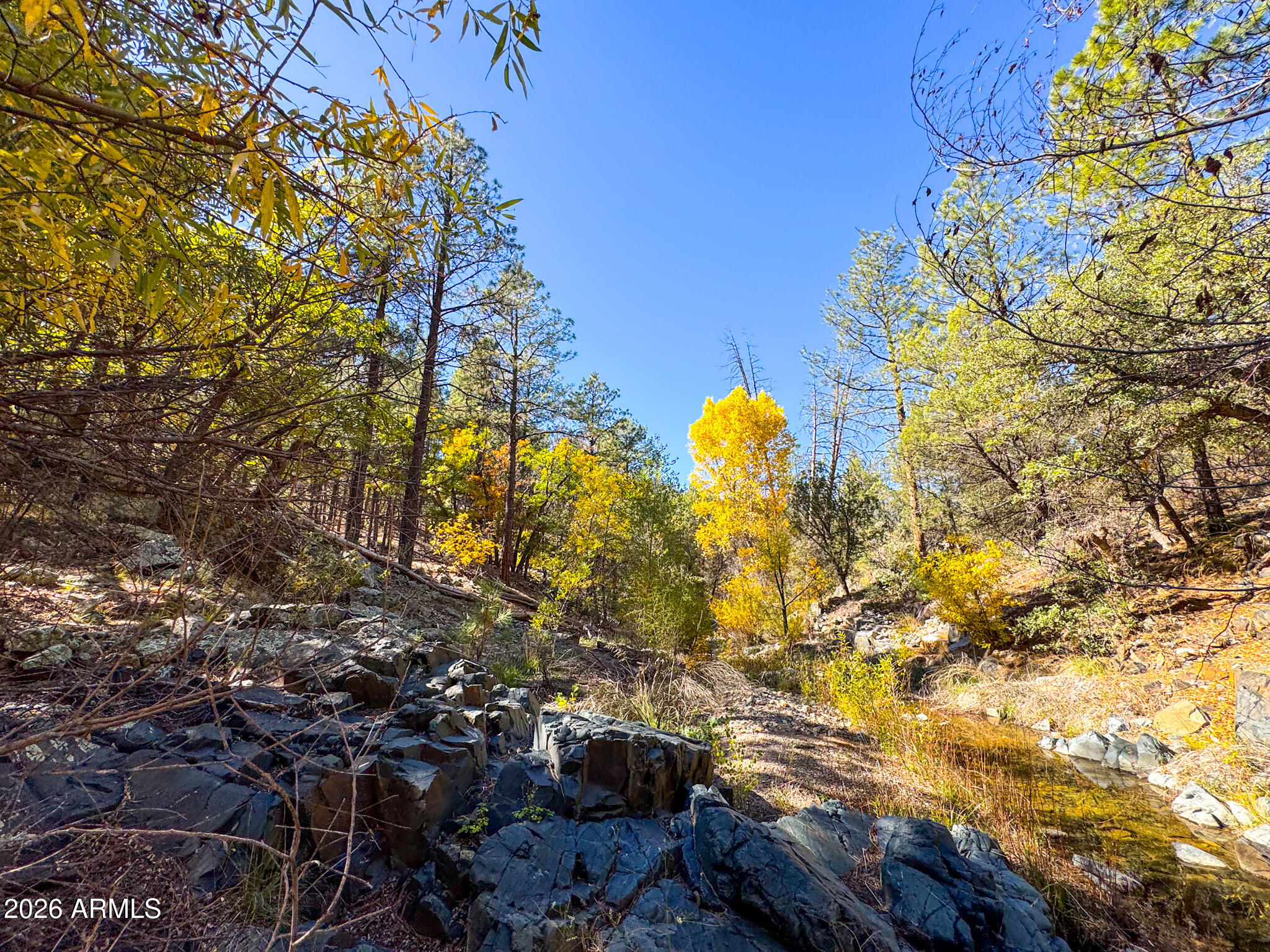 0 Forest Service Road -