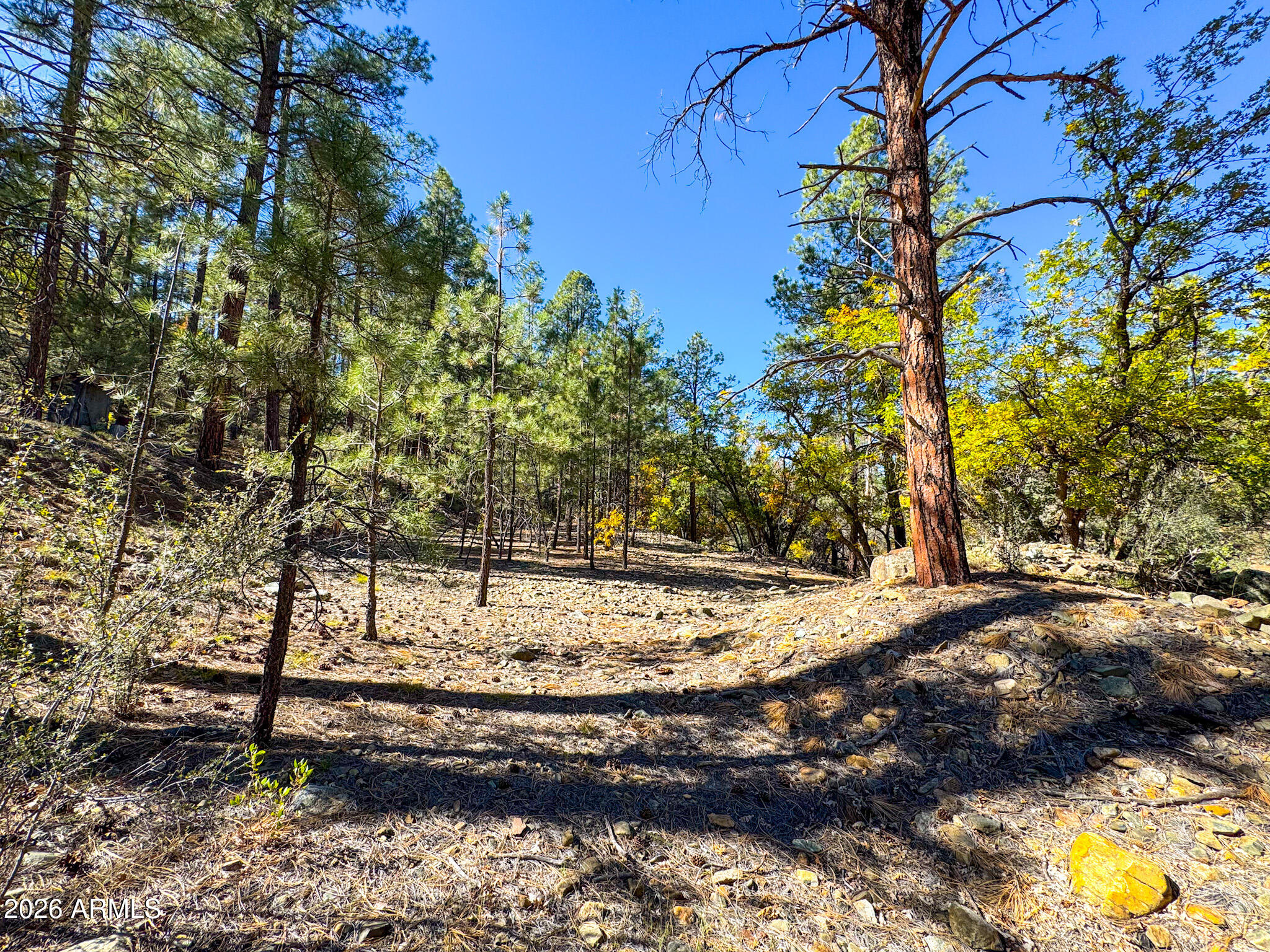 0 Forest Service Road -