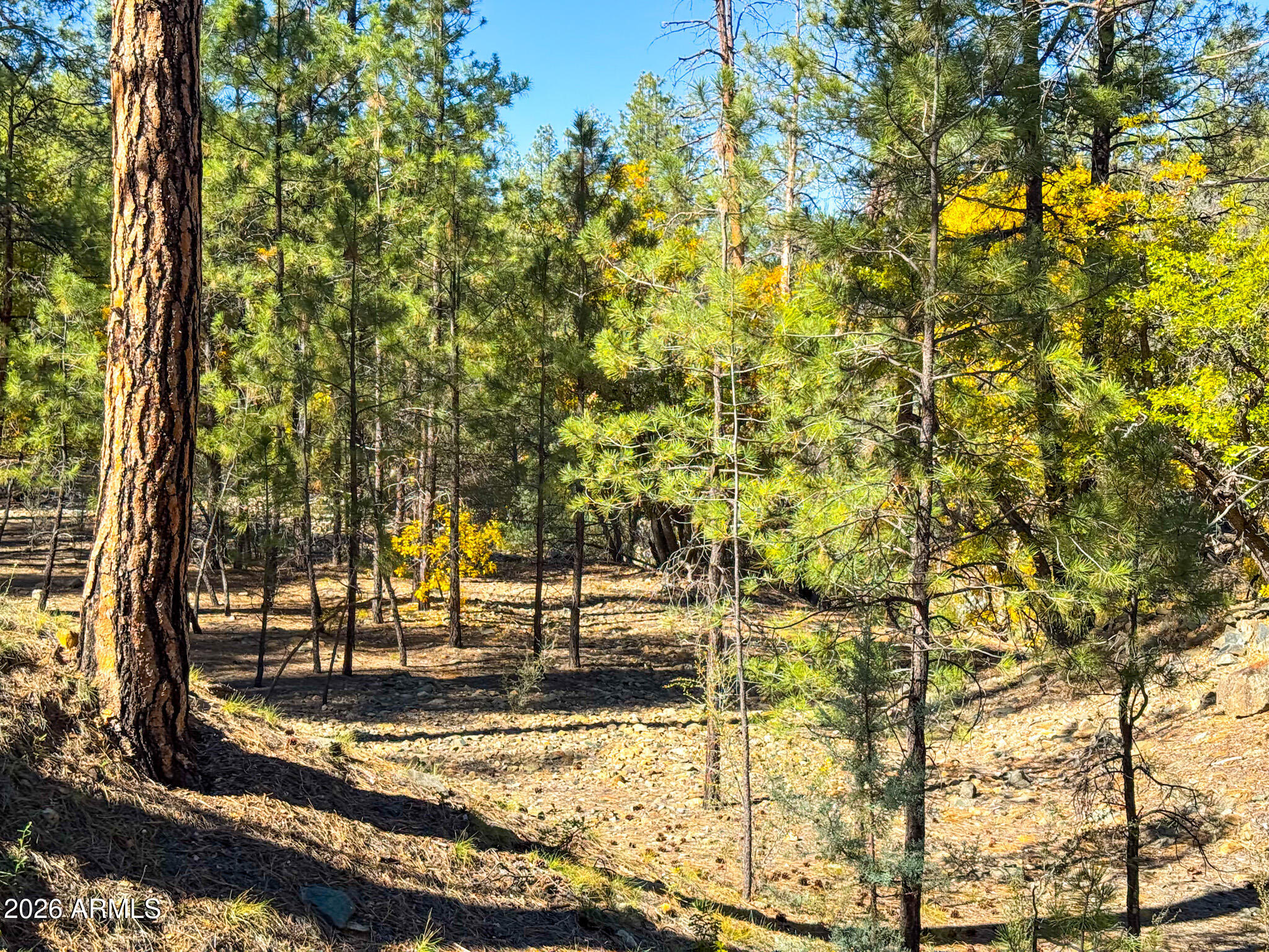 0 Forest Service Road -