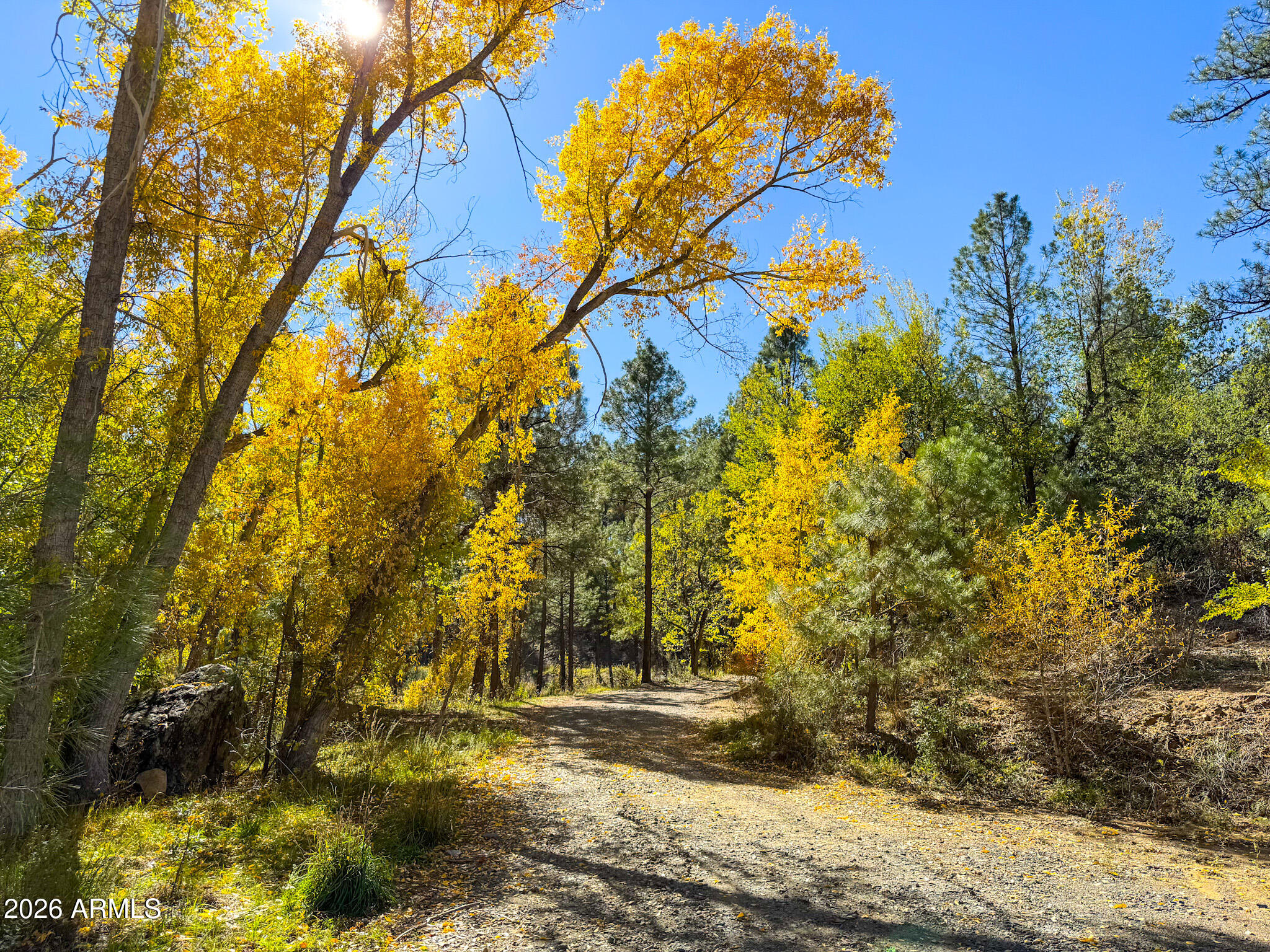 0 Forest Service Road -