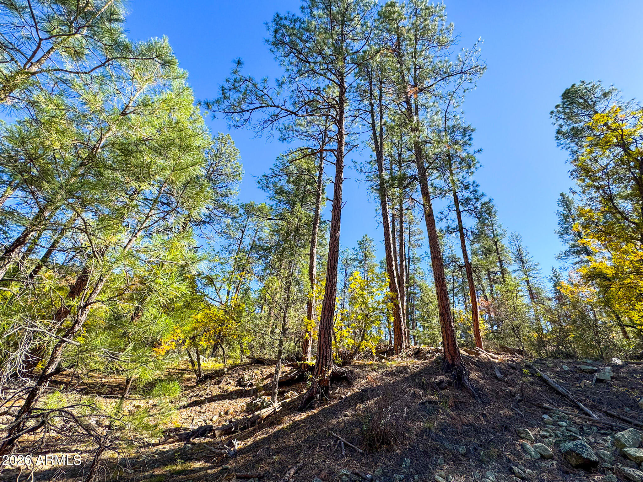 0 Forest Service Road -