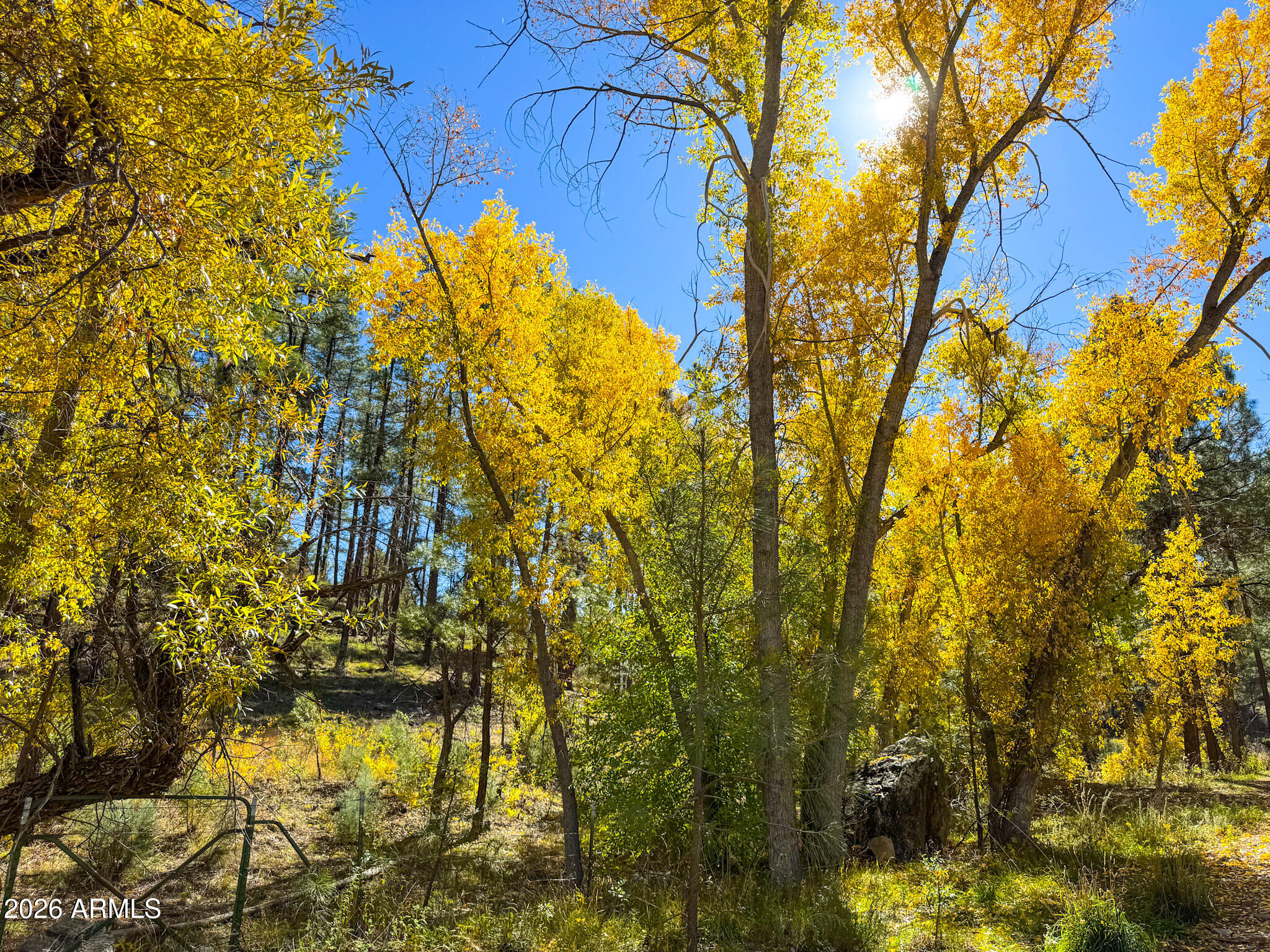 0 Forest Service Road -