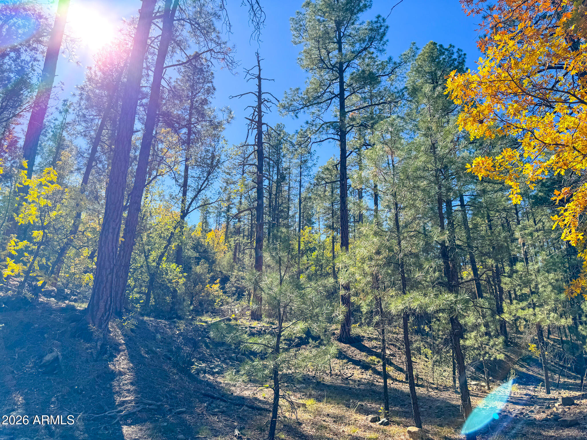 0 Forest Service Road -