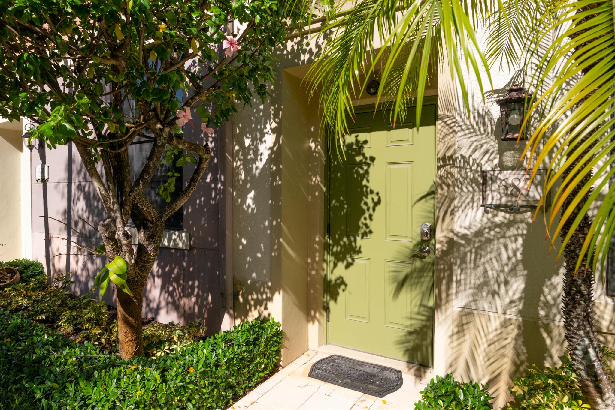 687 Hibiscus Street