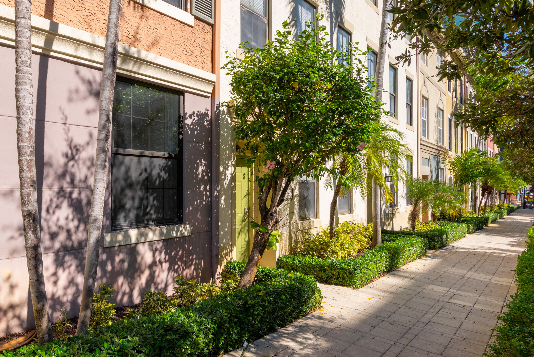 687 Hibiscus Street