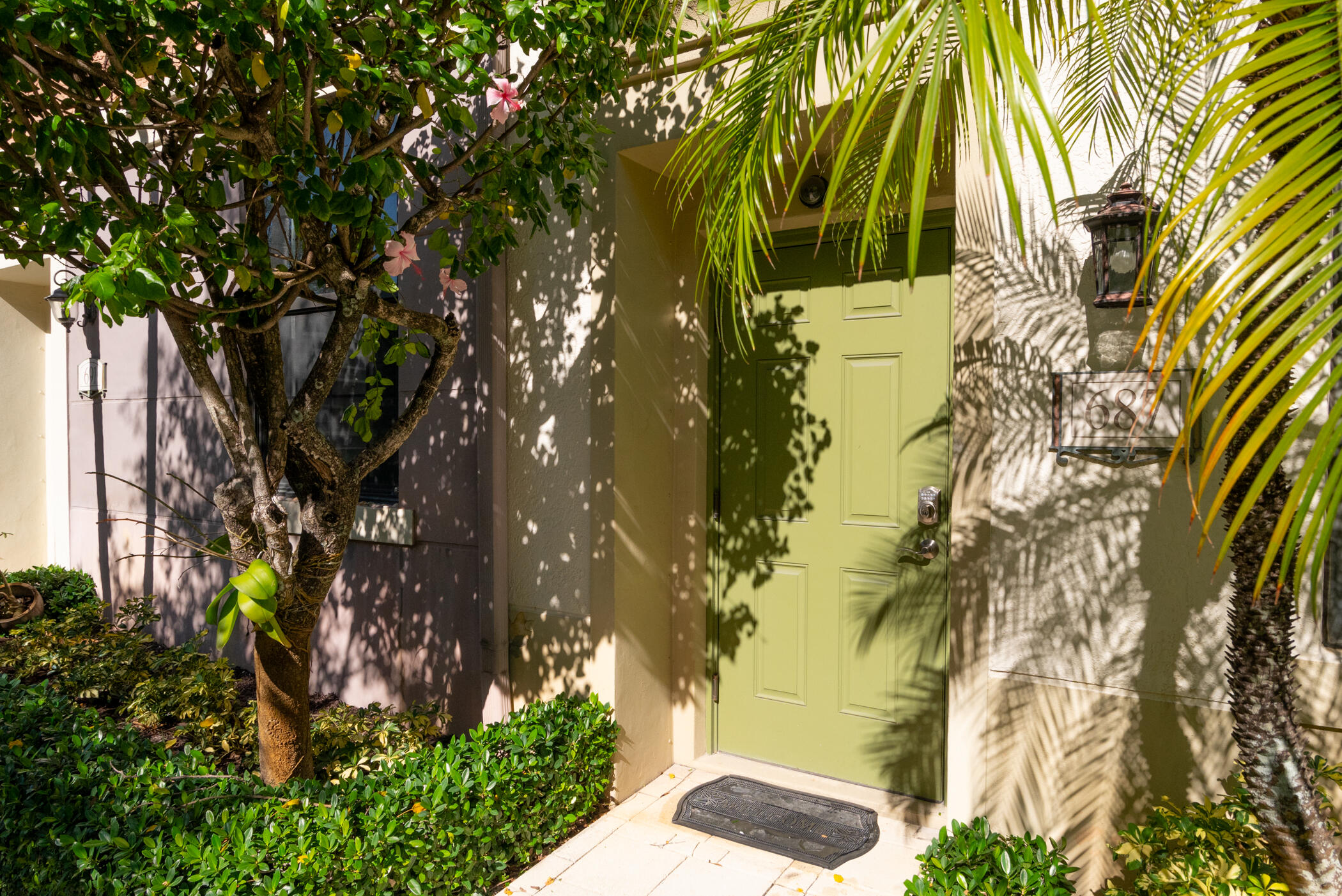 687 Hibiscus Street
