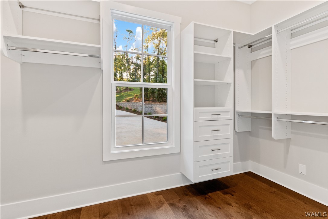 14905 Highpoint Cove