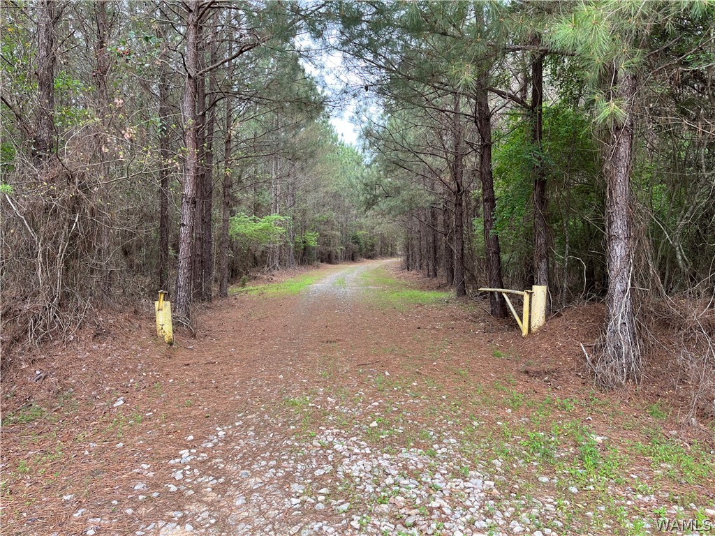 17616 Strickland Spur