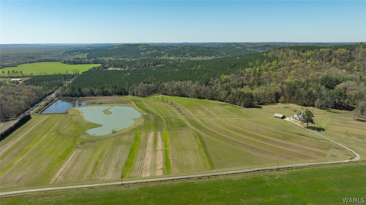 17616 Strickland Spur