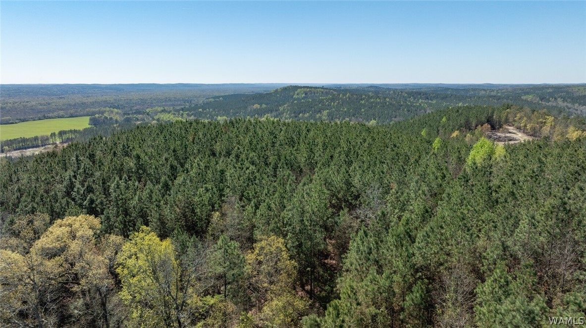 17616 Strickland Spur