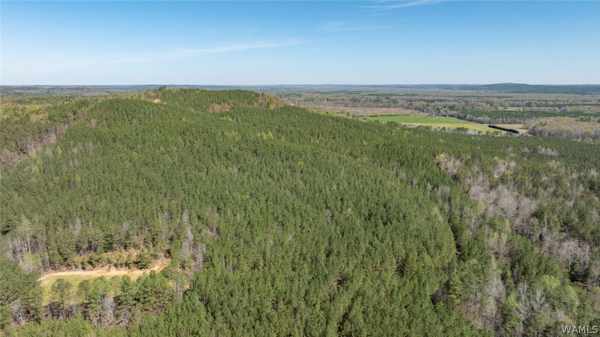 17616 Strickland Spur