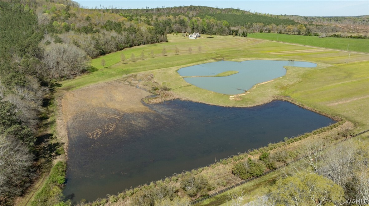 17616 Strickland Spur