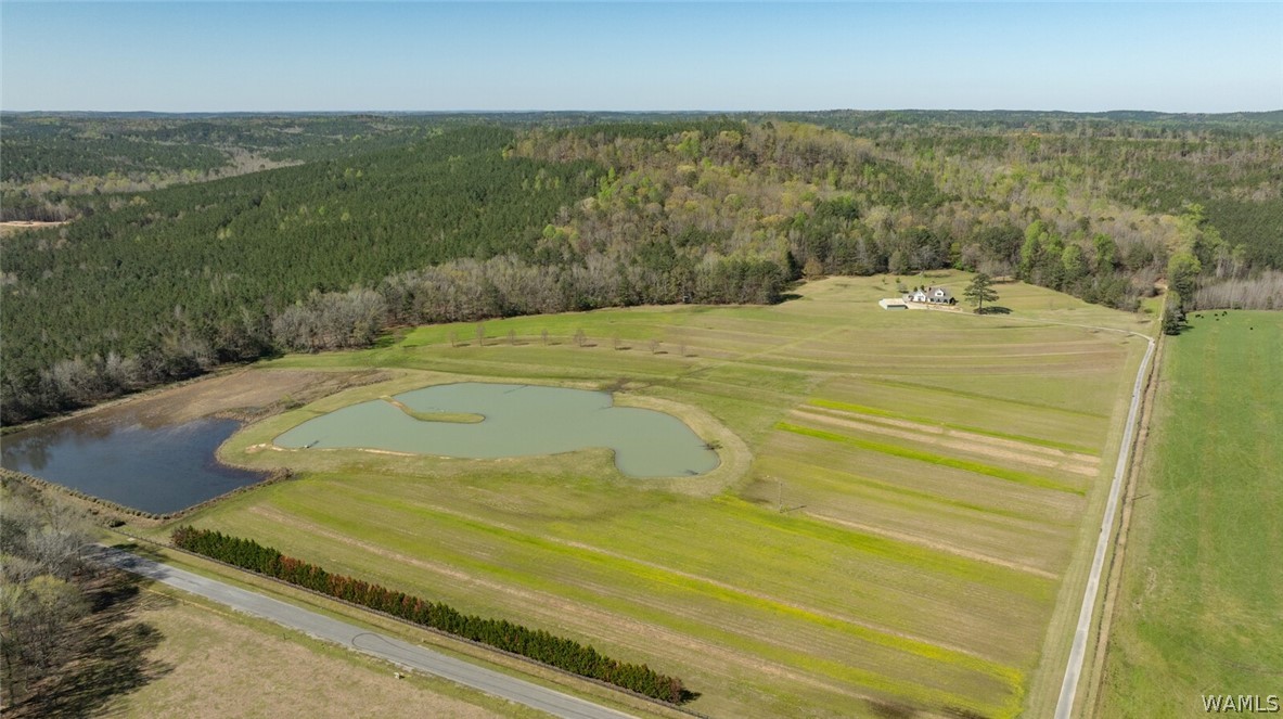 17616 Strickland Spur