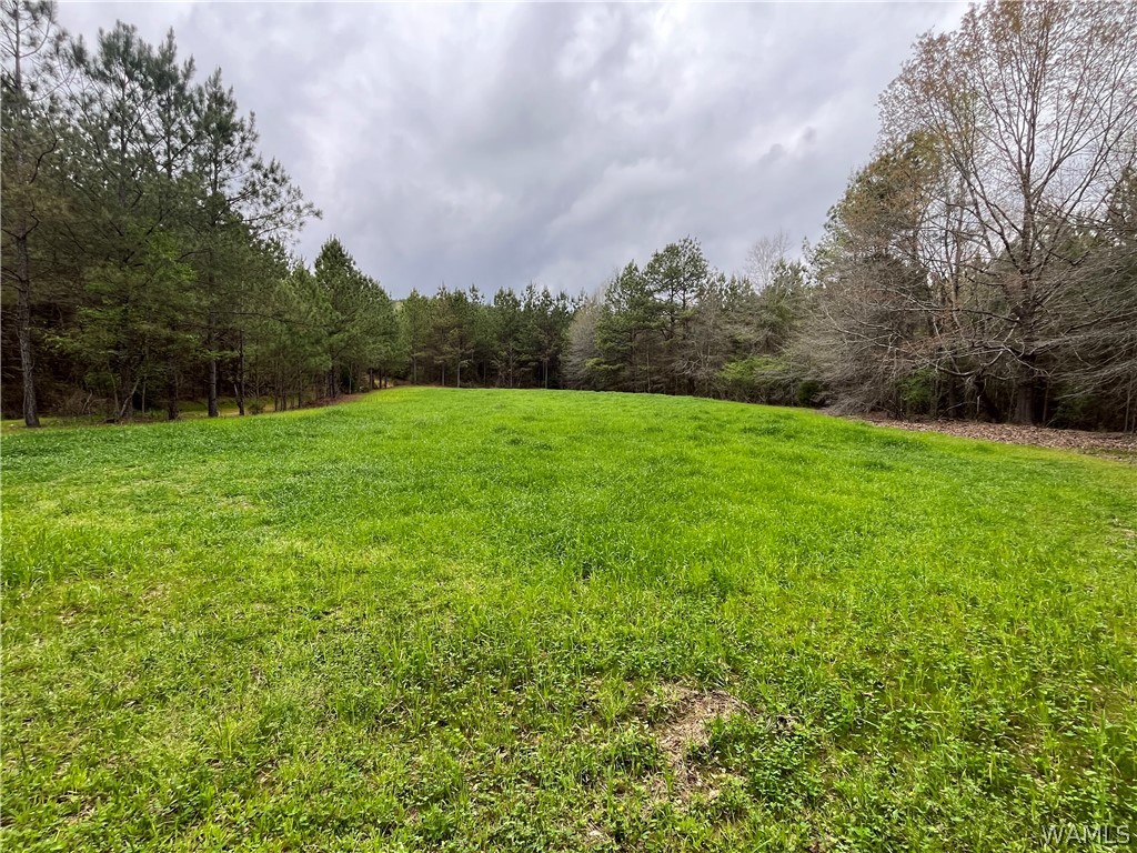 17616 Strickland Spur