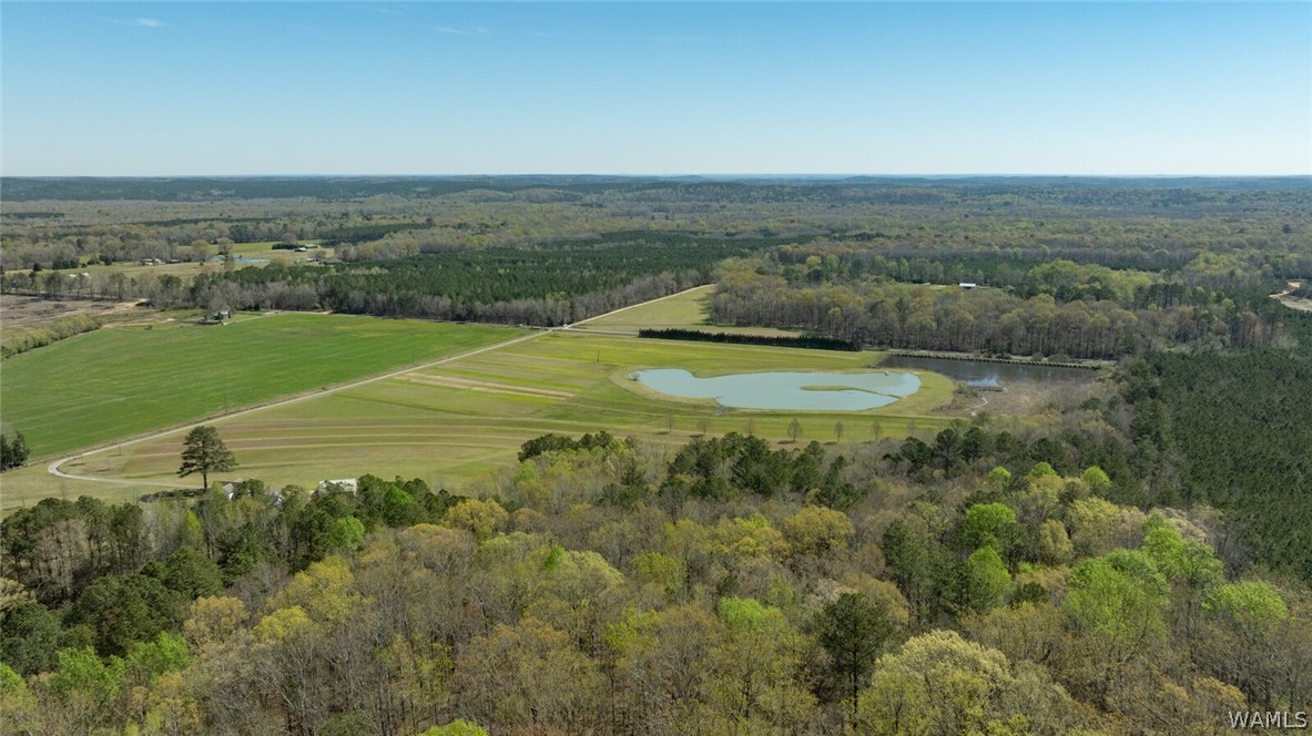 17616 Strickland Spur