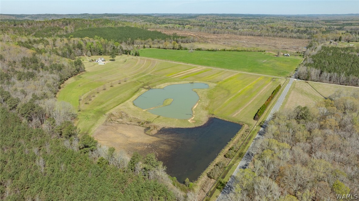 17616 Strickland Spur