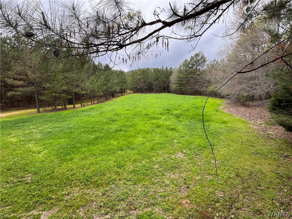 17616 Strickland Spur