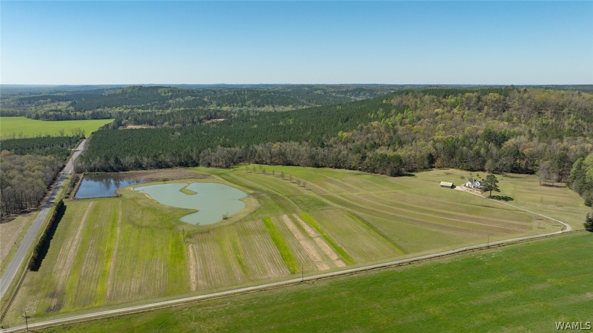 17616 Strickland Spur