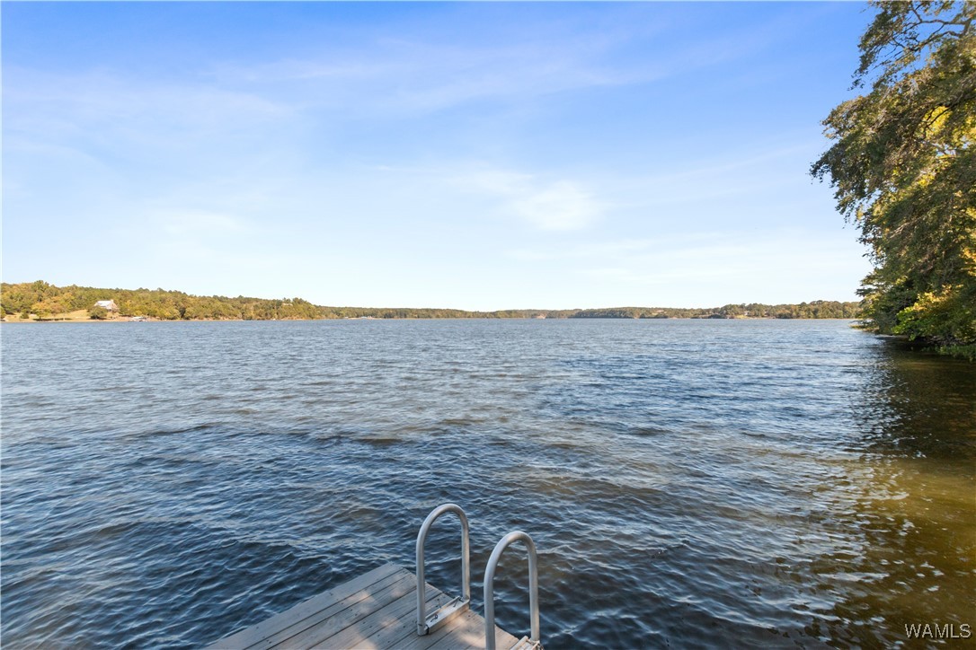 16310 Hagler Mill Dr.