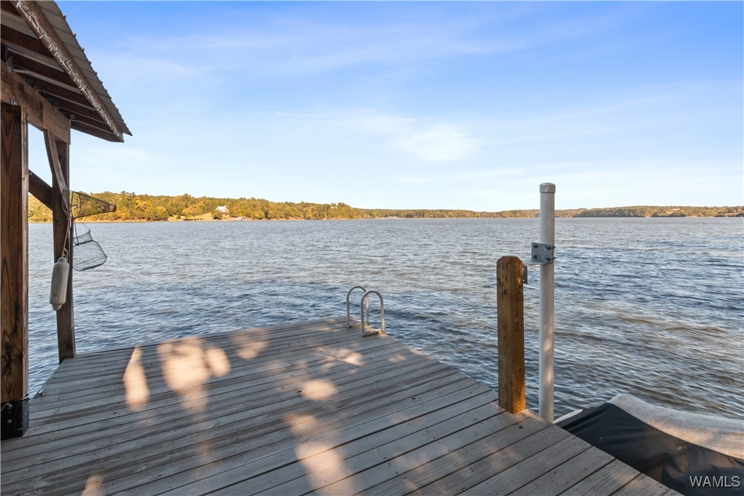 16310 Hagler Mill Dr.