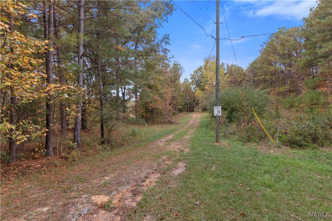 11021 Dale Earnhart Dr.