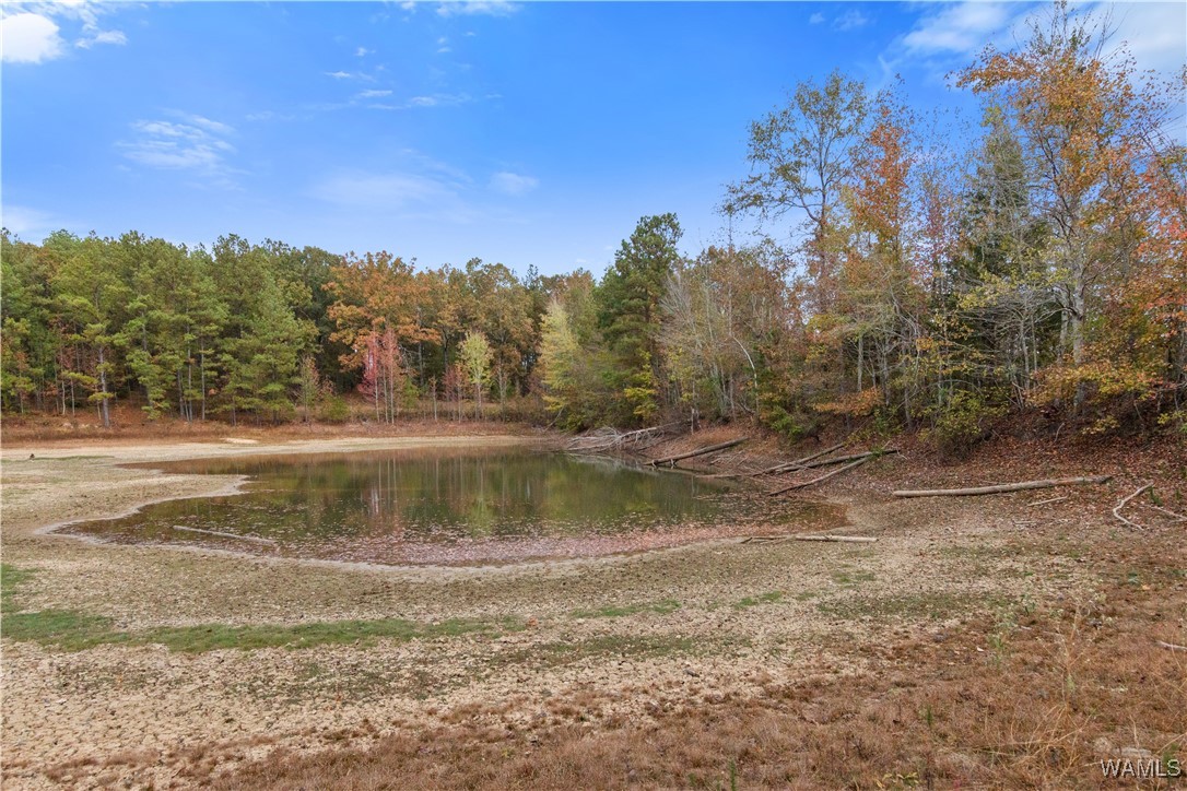 11021 Dale Earnhart Dr.