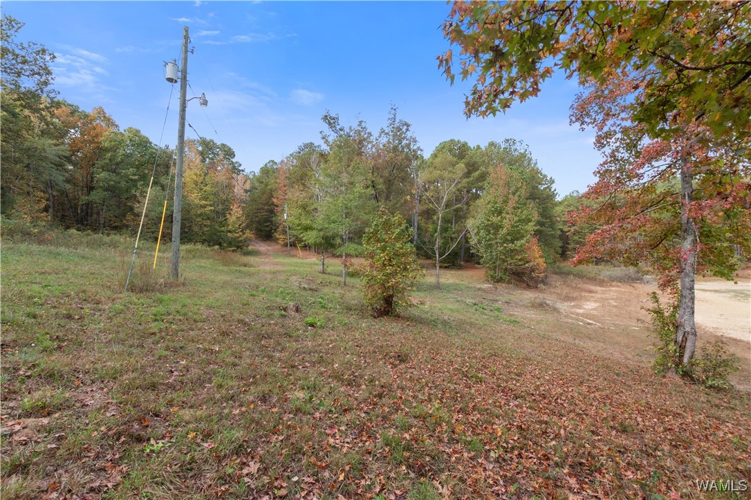 11021 Dale Earnhart Dr.