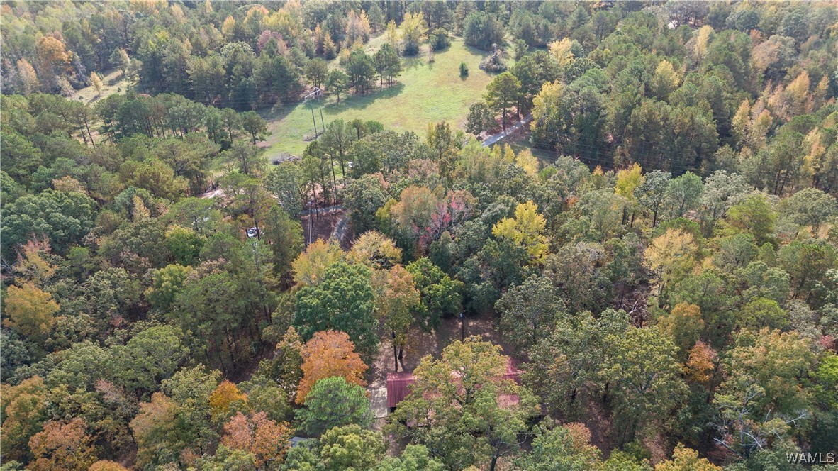 11021 Dale Earnhart Dr.