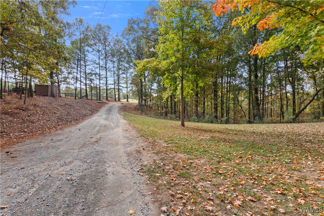 11021 Dale Earnhart Dr.