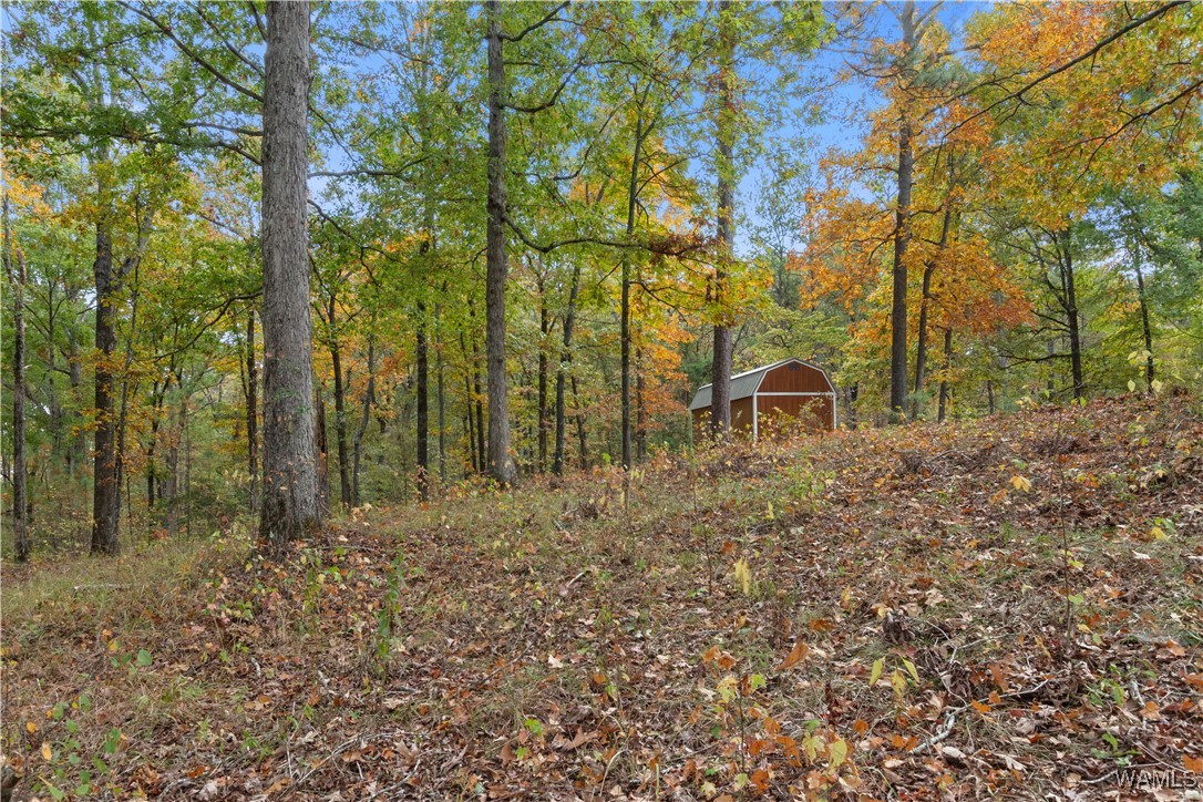 11021 Dale Earnhart Dr.