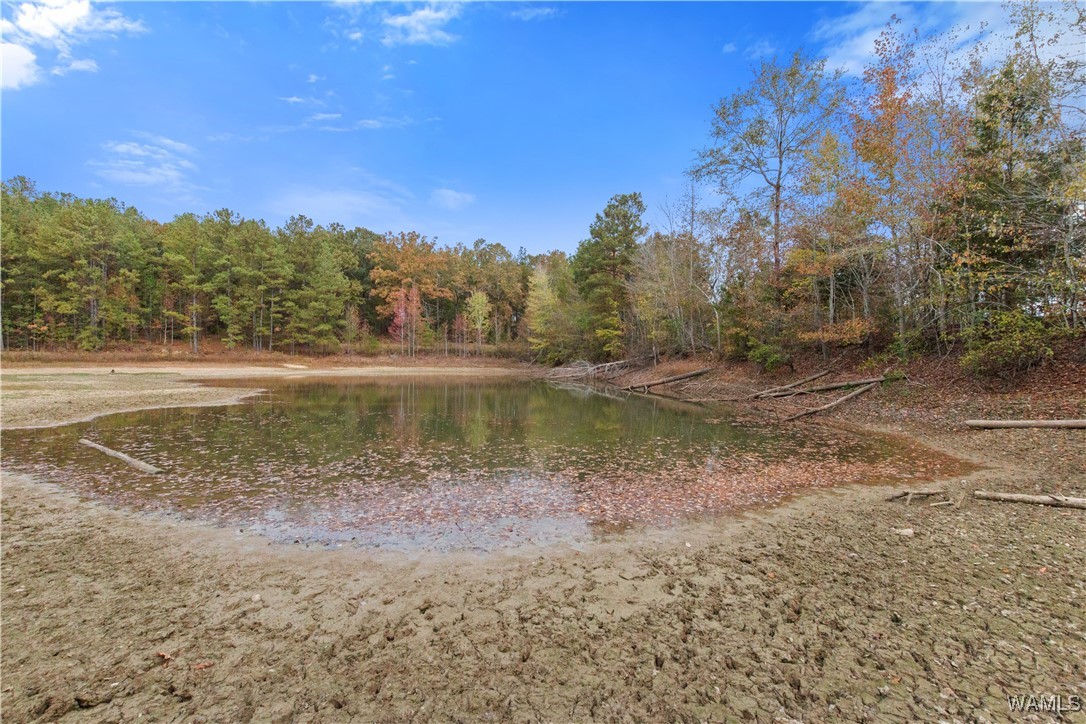 11021 Dale Earnhart Dr.