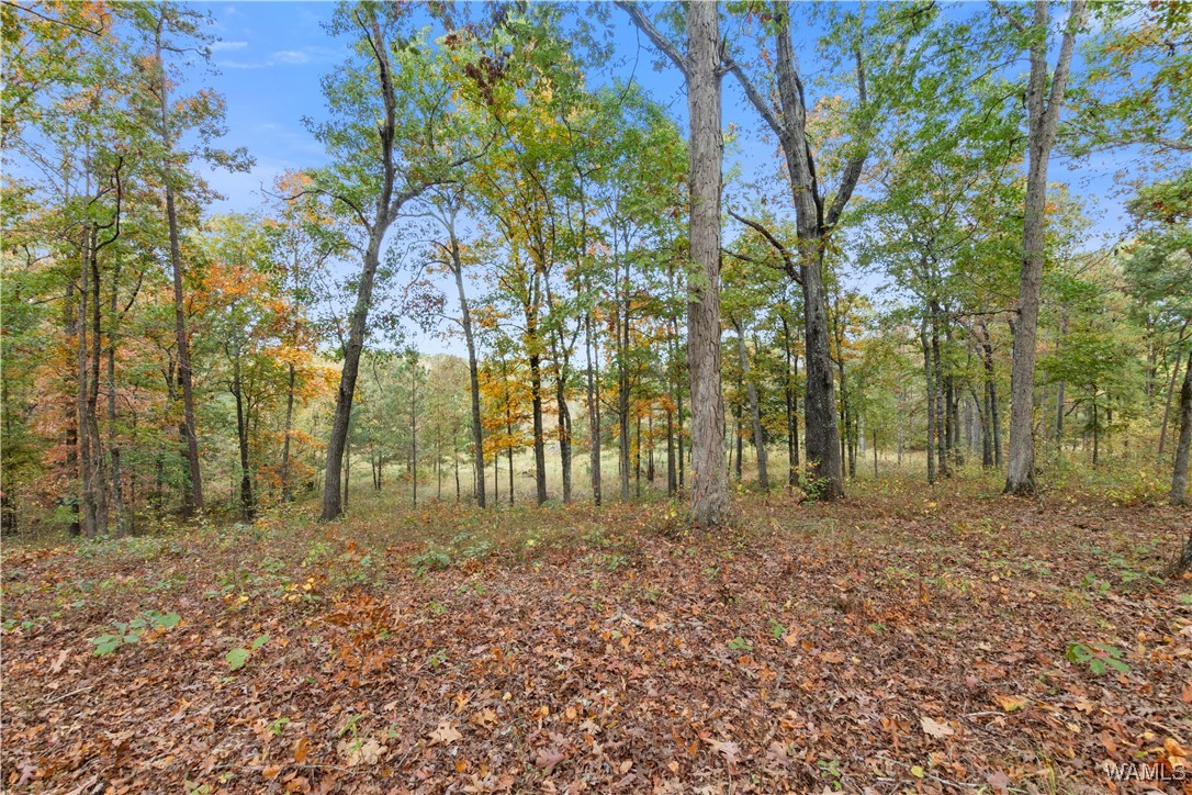 11021 Dale Earnhart Dr.