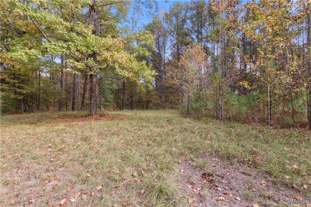 11021 Dale Earnhart Dr.
