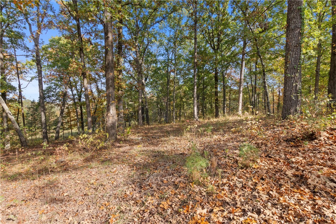 11021 Dale Earnhart Dr.