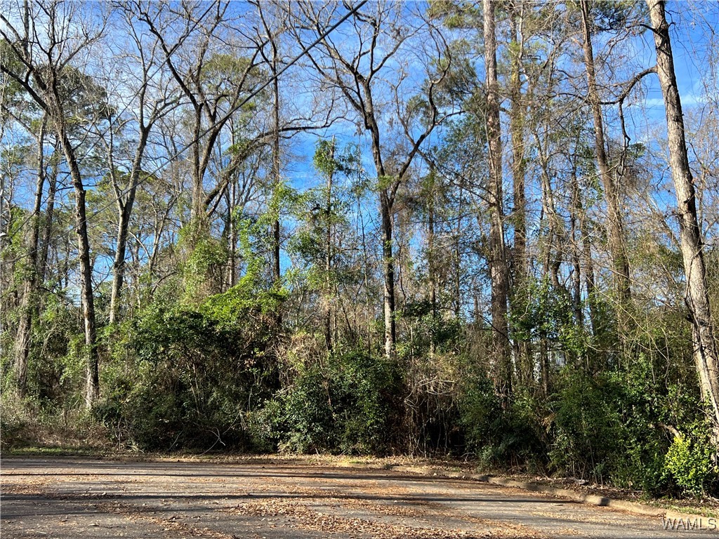901 HILLSDALE Court