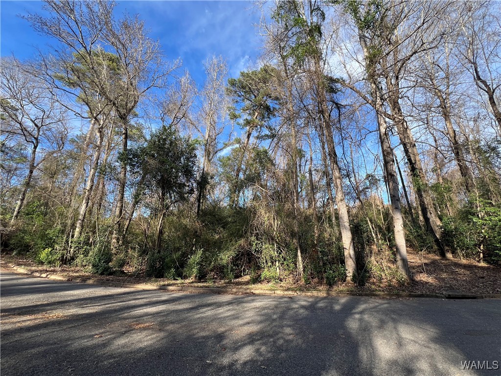 907 HILLSDALE Court