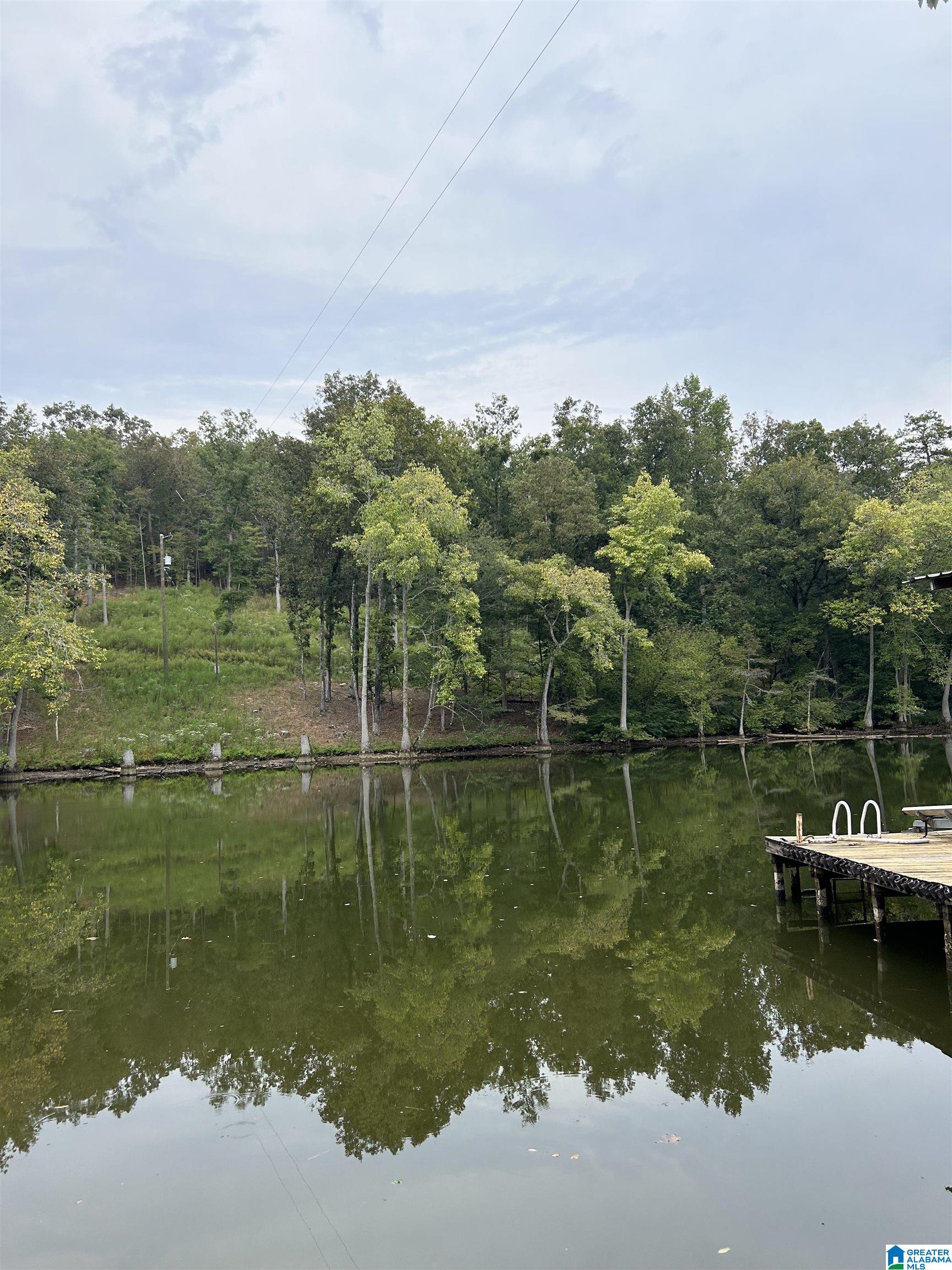 2309 COUNTY ROAD 465
