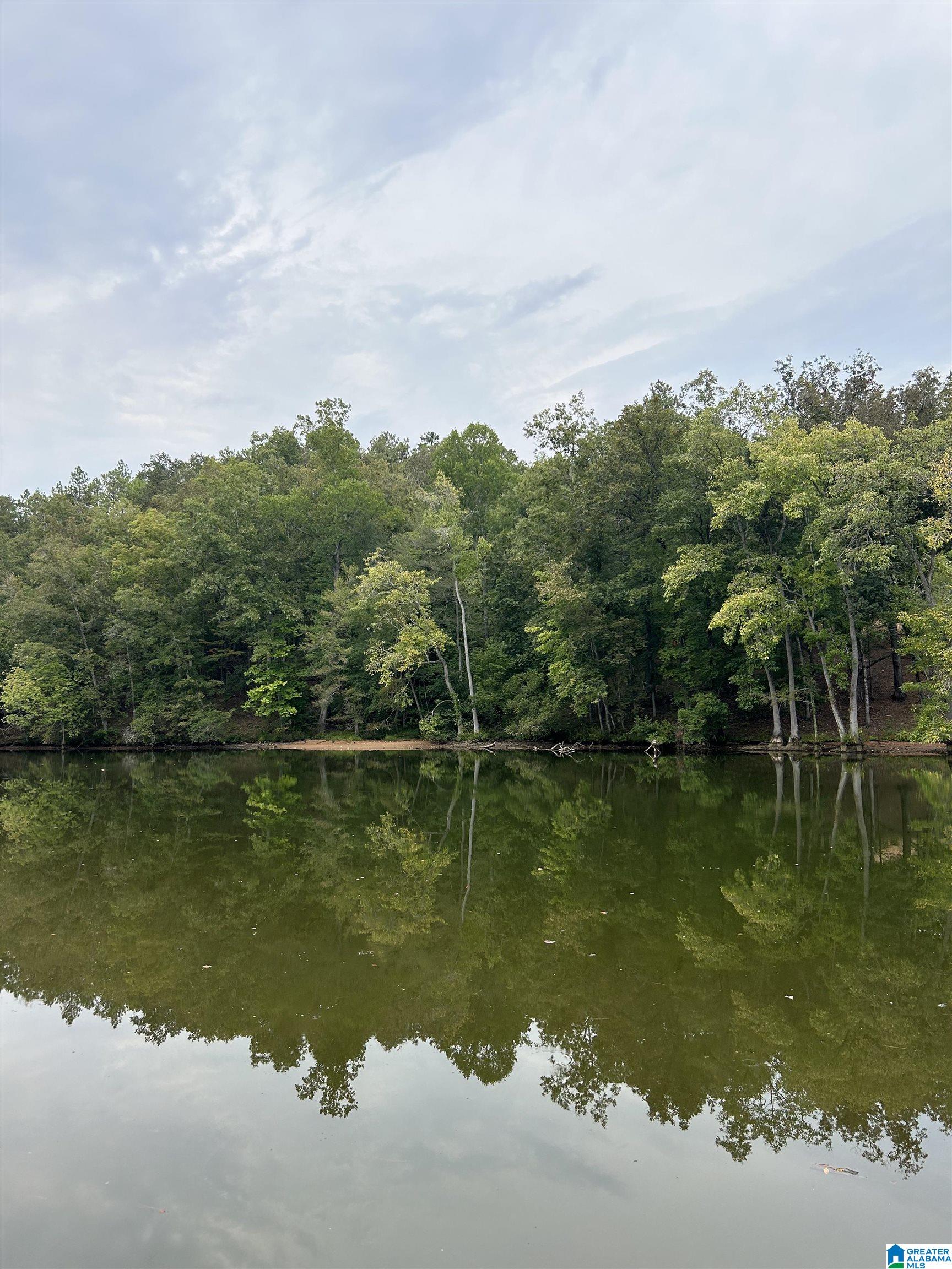 2309 COUNTY ROAD 465