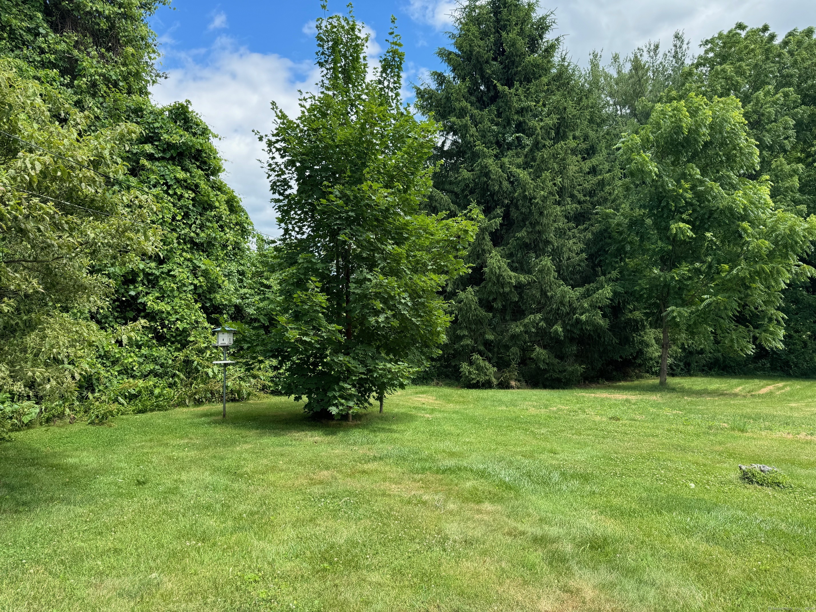 10 Olson Place